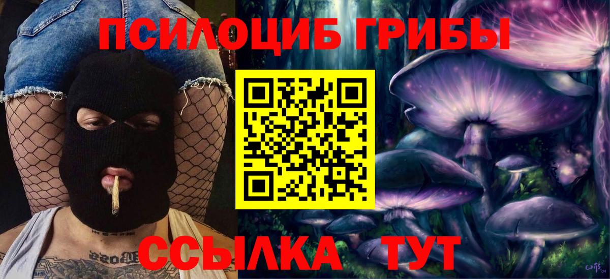 Псилоцибиновые грибы мицелий  Вход с VPN  Галлюциногенные грибы Psilocybe  Борзя 