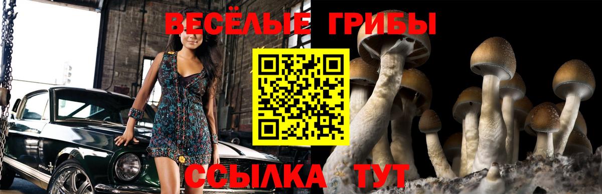 Псилоцибиновые грибы GOLDEN TEACHER Борзя